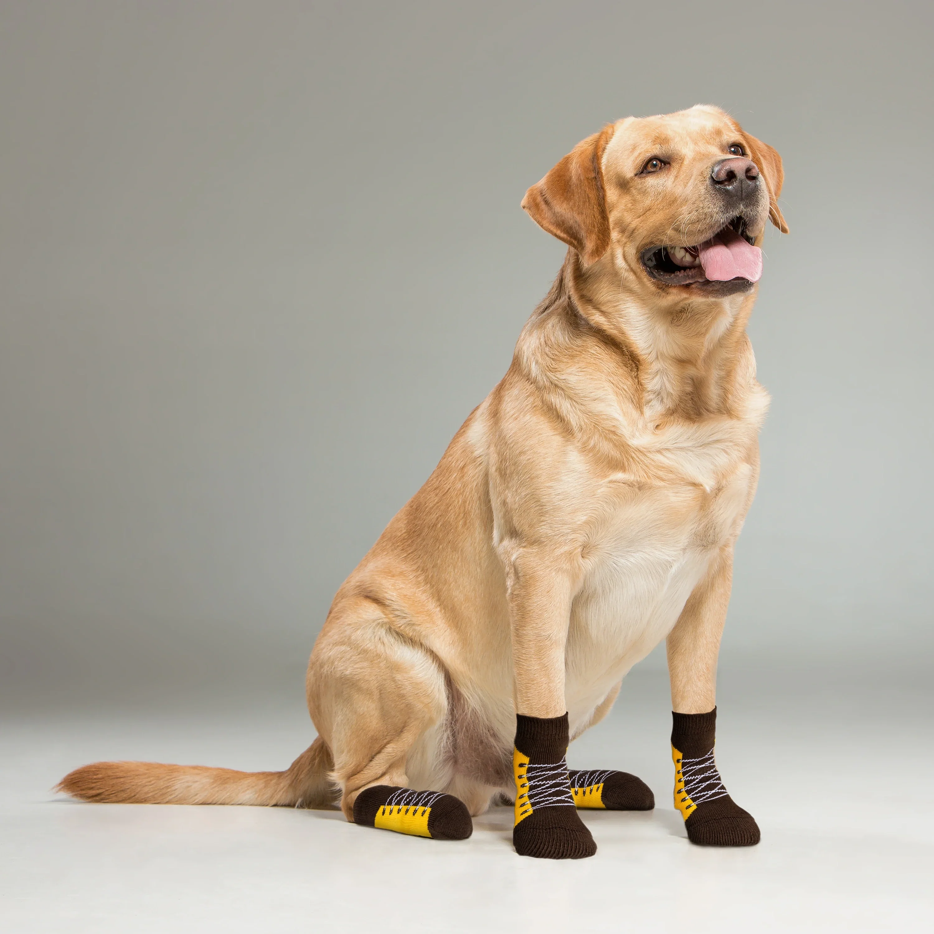 Dog Socks (Pack of 2) (8N) - Image 3